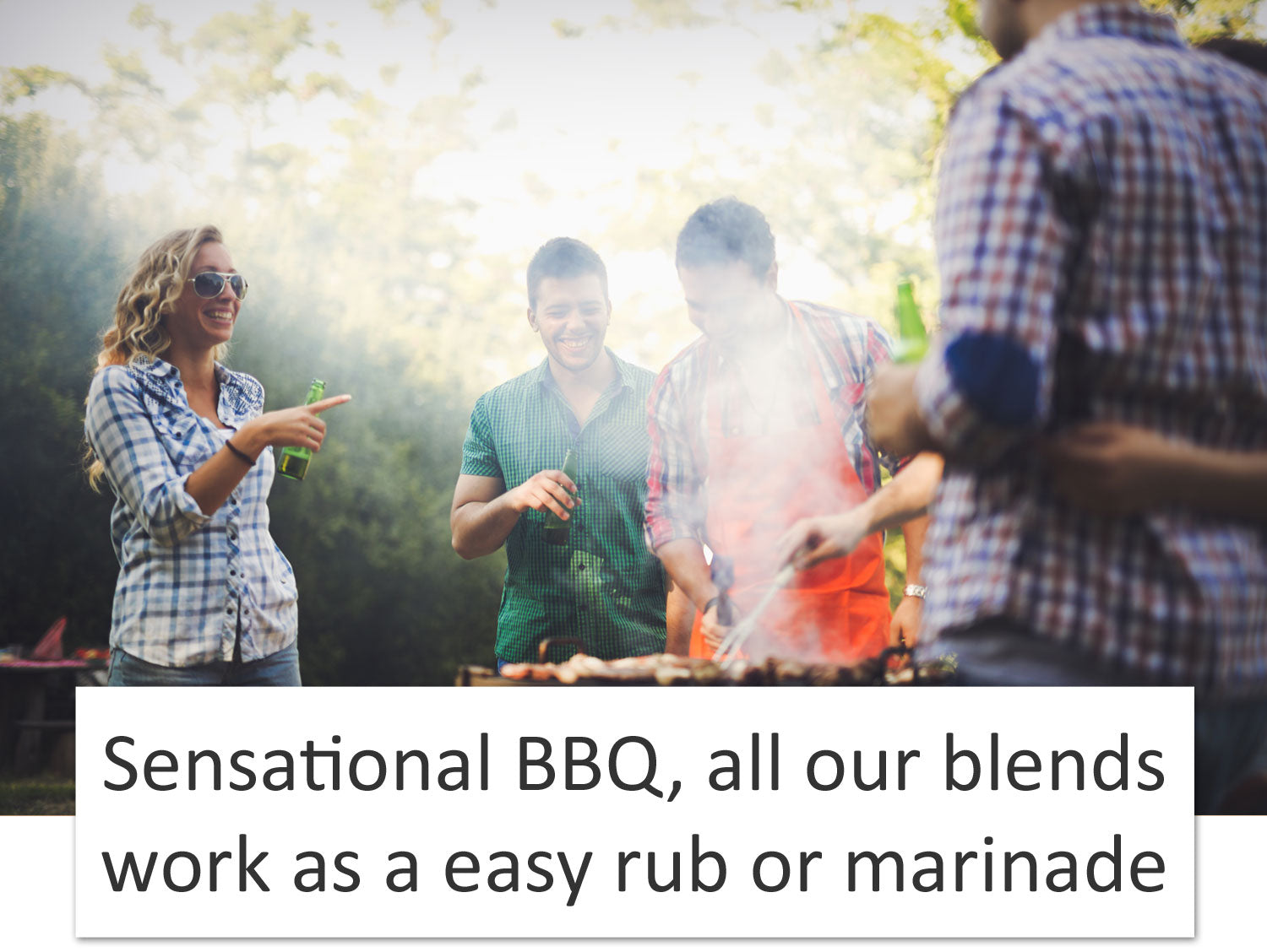 spice-bbq-rubs-and-marinade.jpg